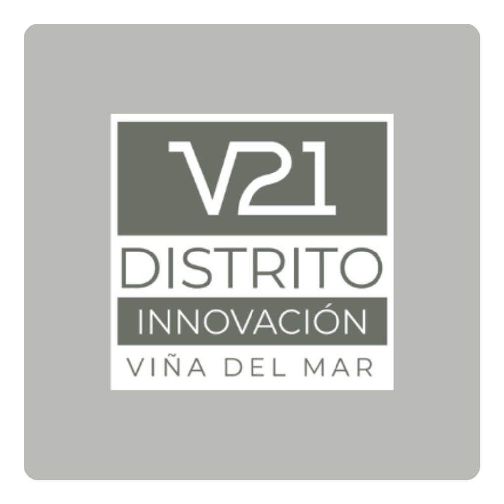 V21 logo